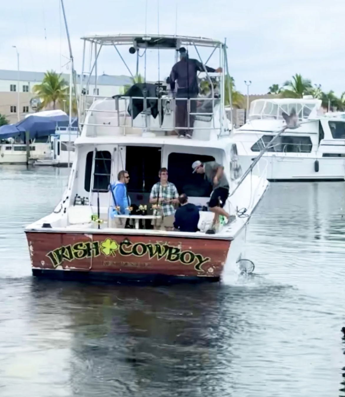Irish Cowboy – 40' Luhrs